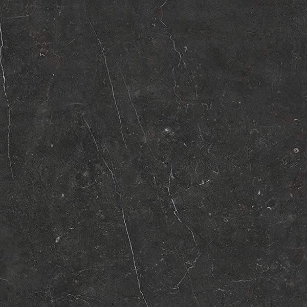 V6568-3Birsa stone