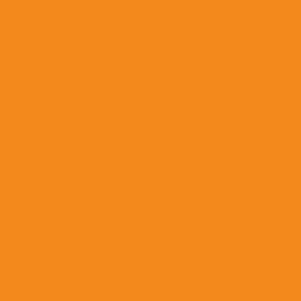 ES6402-100inutemaid orange