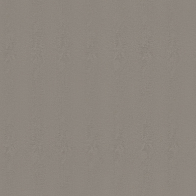 灰鱼子酱