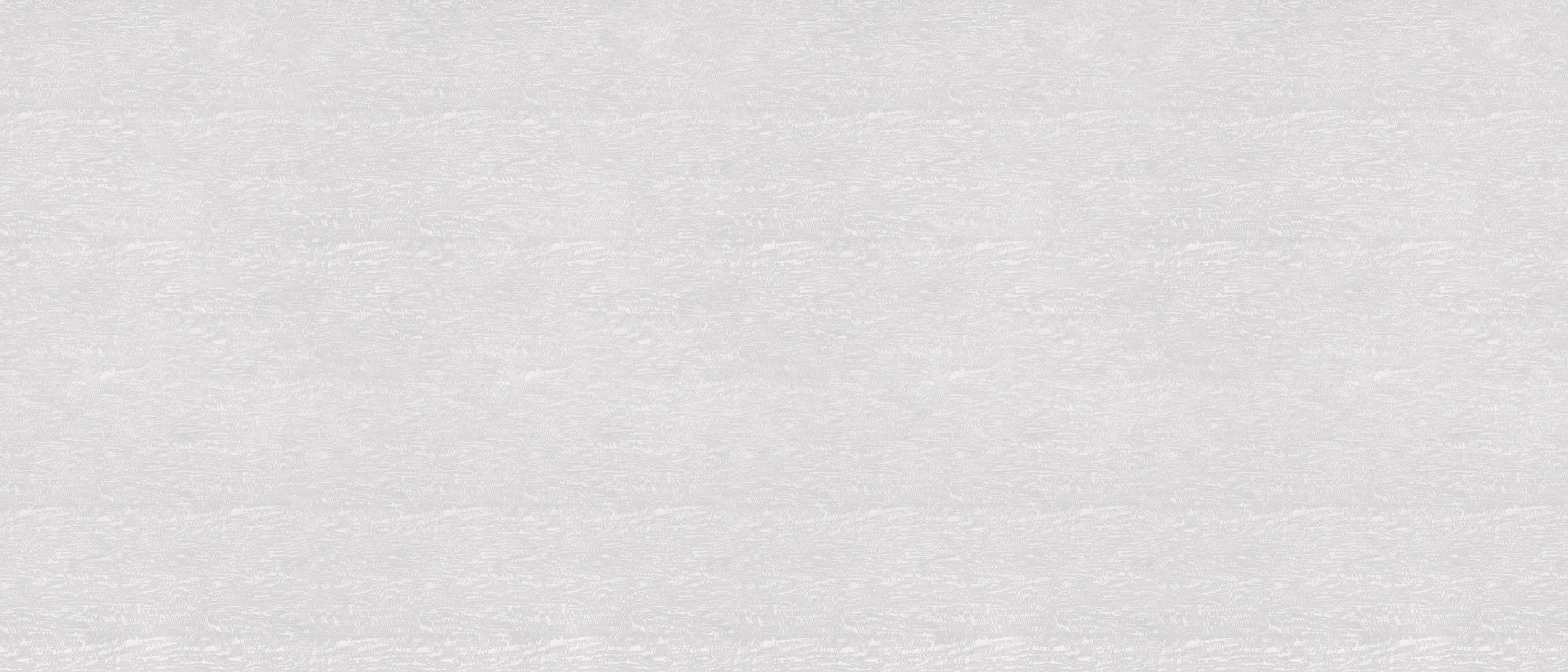 枝影